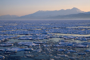 朝の知床の流氷 © kn_setouchi
