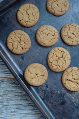 Gingersnap cookies for Christmas on a Baking Pan