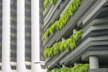 Cercles muraux Singapour terrasses vertes
