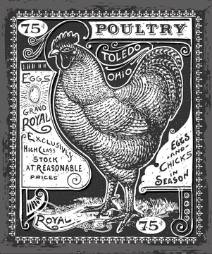 Vintage Poultry and Eggs Advertising on Blackboard