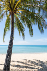 White sand beach in Koh Chang, a popular island on the gulf of T