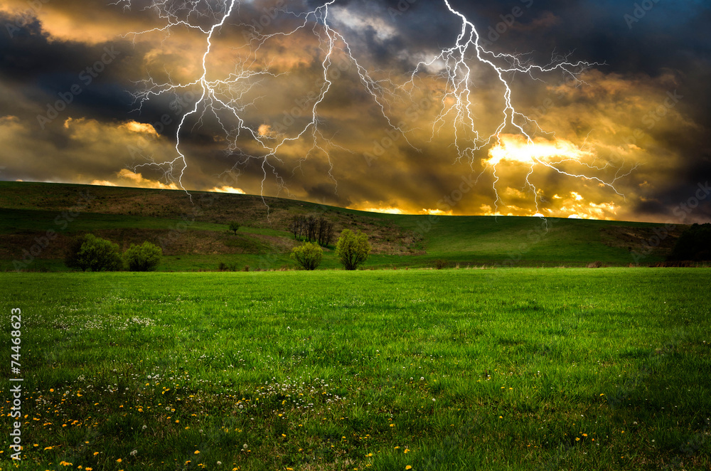 Canvas Prints thunderstorm with lightning in green meadow.