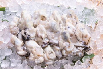 Fototapeta na wymiar むき牡蛎