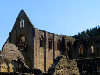 Tintern Abbey Wales (The Cistercian Abbeys of Britain)