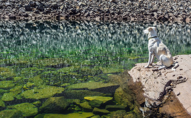 Obraz na płótnie Canvas Reflection of the rocky shore in a mountain lake
