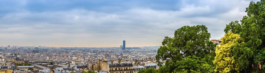 View of Paris skyline