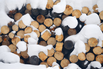 Forest harvested for firewood in the winter, folded into a stack