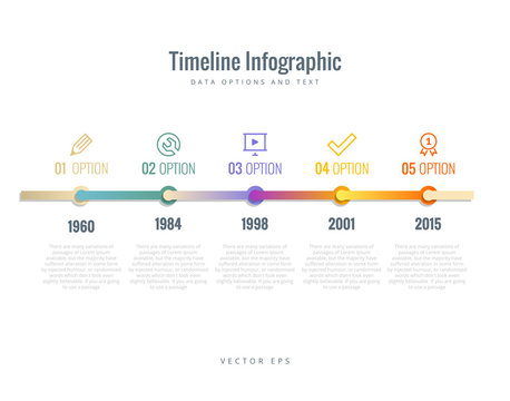 Timeline Infographic with diagrams, options and text