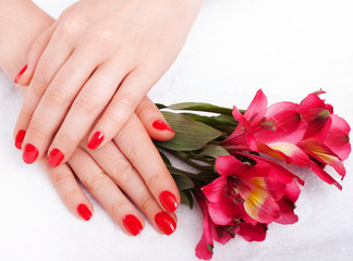 Closeup image of red manicure pedicure with flowers