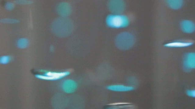 les bulles
