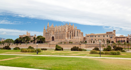 Fototapeta na wymiar Majorca La seu Cathedral