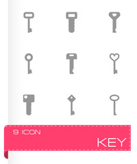 Vector key icon set