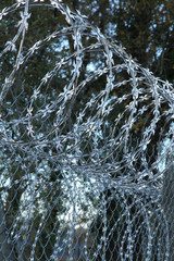 clôture de barbelé