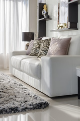 luxury living room with  luxury white sofa
