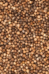 Coriander texture
