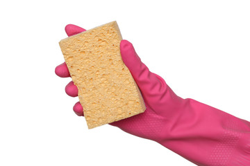 Cleaning equipment, sponge in hand isolated on white