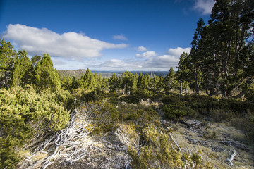 Tasmanian wilderness Walls of Jerusalem National park