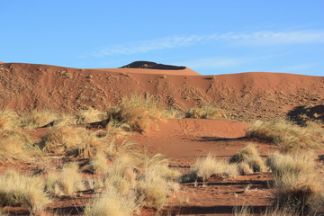 Fototapeta premium Trip durch Sossusvlei - Namibia