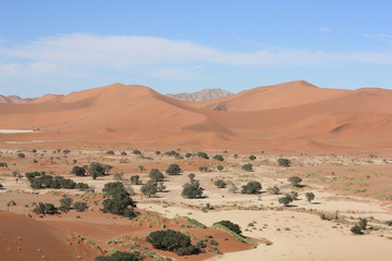 Trip durch Sossusvlei - Namibia