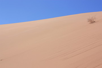 Trip durch Sossusvlei - Namibia