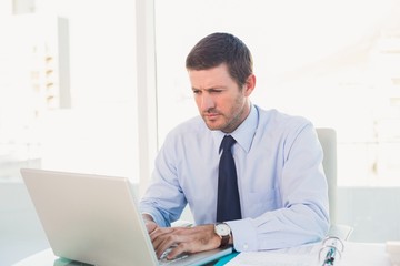 Naklejka premium Businessman using his laptop