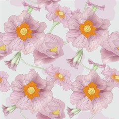 drawing flower spring