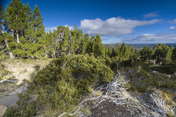 Foto from Tasmanian wilderness, National park Walls of Jerusalem