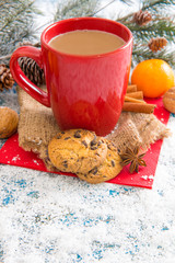 Winter decoration. Composition on wood background.