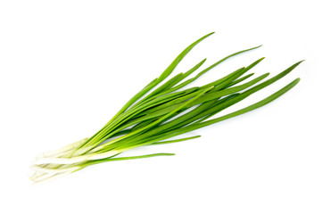 Green Onion