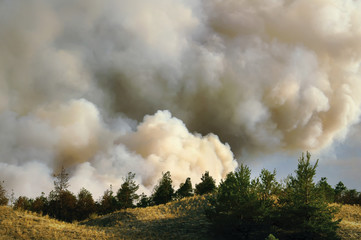 Emergency: smoke from burning wood, which rises