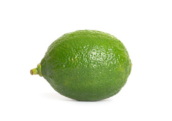 single lime on white background