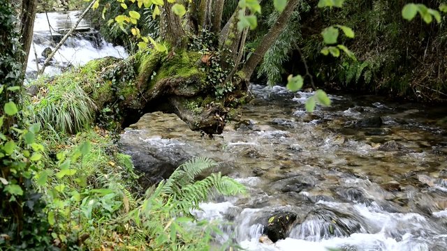 Naturaleza virgen. Cascadas de agua. R&iacute;os y paisajes de Galicia