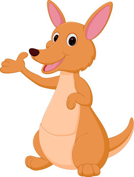 Kangaroo cartoon presenting