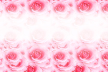 Rosenpapier Hintergrund 