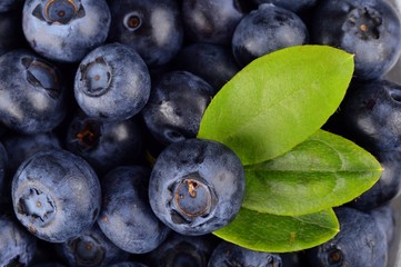 Macro view group fresh blueberries with leaf background