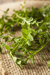 Raw Organic Green Savory