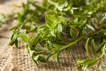 Raw Organic Green Savory