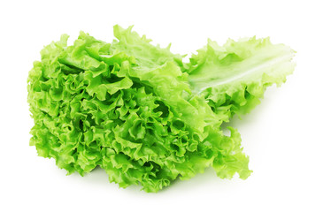 lettuce leaves isolated on the white background