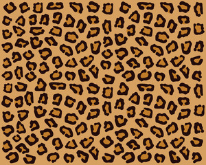 Prints of skin of  leopard 2, vector illustration