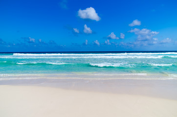 Obraz premium tropical sea
