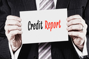 Credit Report Concept