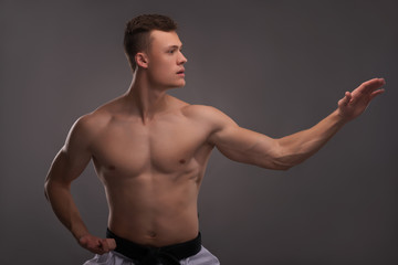 Fototapeta premium Handsome karate enthusiast