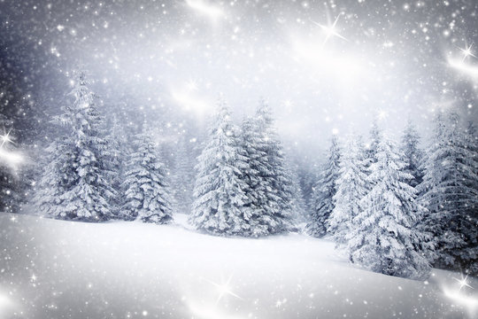 Christmas background with snowy fir trees