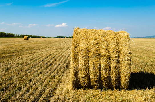 Twisted hay on the field in summer © lihana