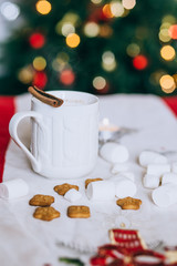 Hot cocoa with cinnamon stick, marshmallows and cookies 