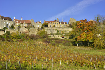 Fototapeta na wymiar Vézelay (89450) en haut de ses vignes dorées, département de l'Yonne en région Bourgogne-Franche-Comté, France