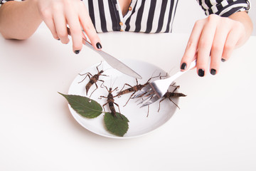 Plate full of insects in the insect to eat restaurant