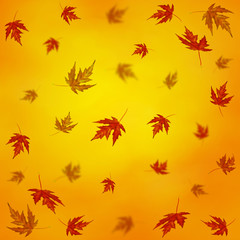 Fototapeta na wymiar Autumn background