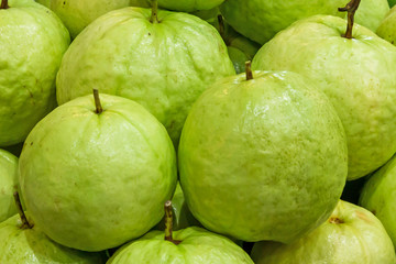 The guava