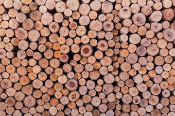 wood log texture background